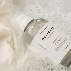 Skalbiklis Delicate, Steamery