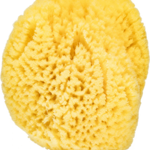 Natūrali kempinė kūdikiams 